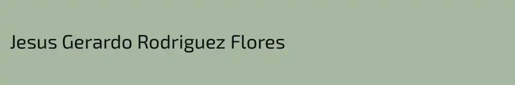 Jesus Gerardo Rodriguez Flores